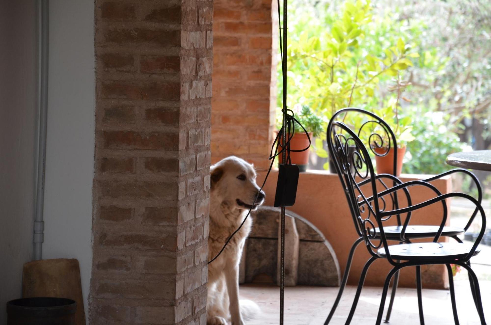 Bed and Breakfast Borgo Piazza à Catanzaro Chambre photo